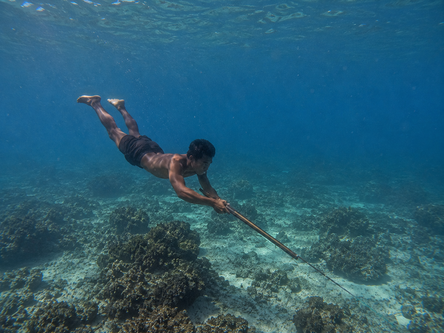 Spearfishing