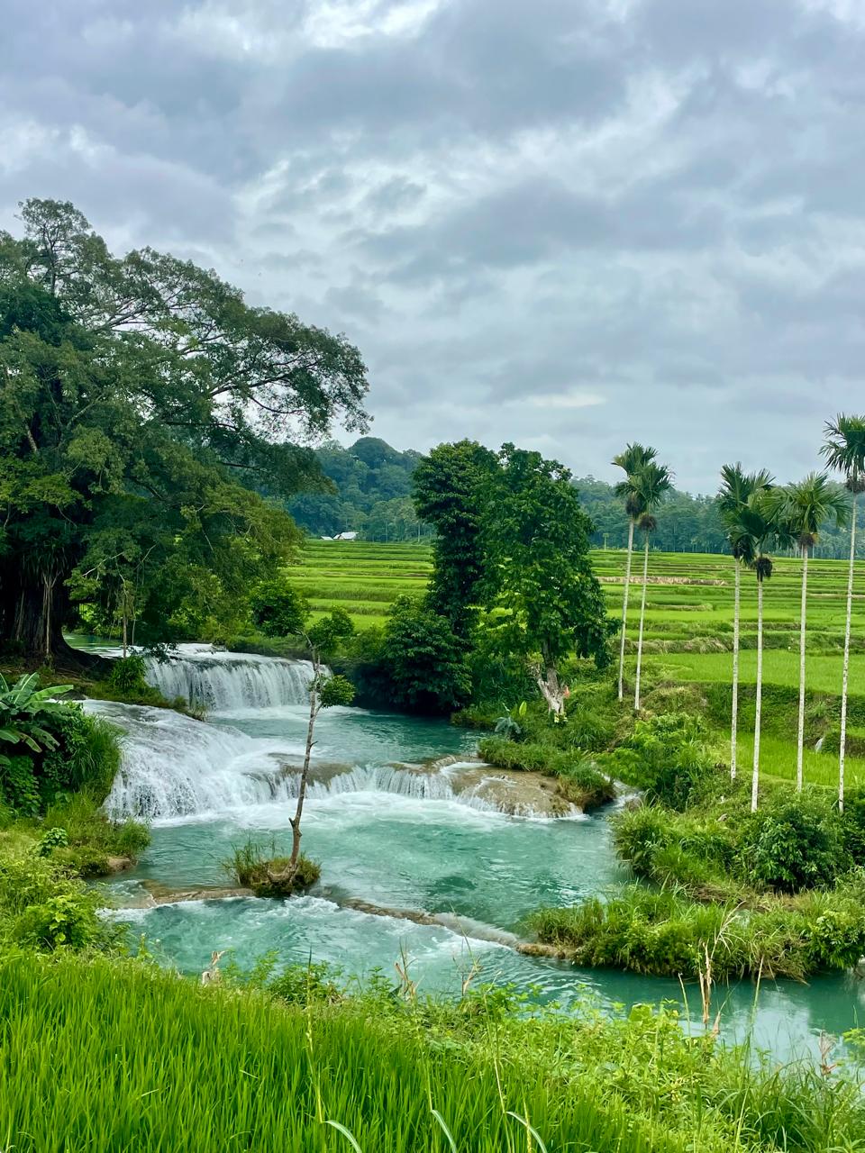Waterfall Tour